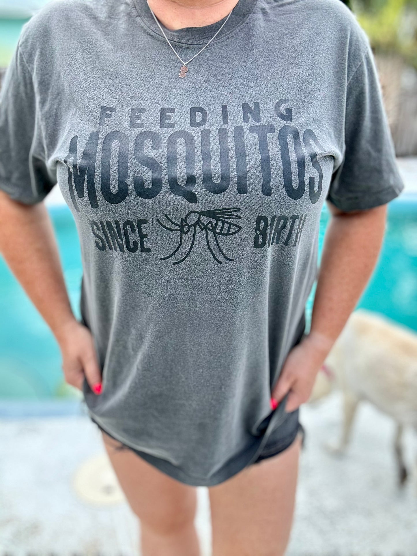 Feeding Mosquitoes Since Birth | Unisex T-shirt | Comfort Colors